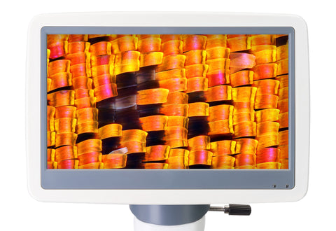 Microscópio digital Levenhuk D95L LCD
