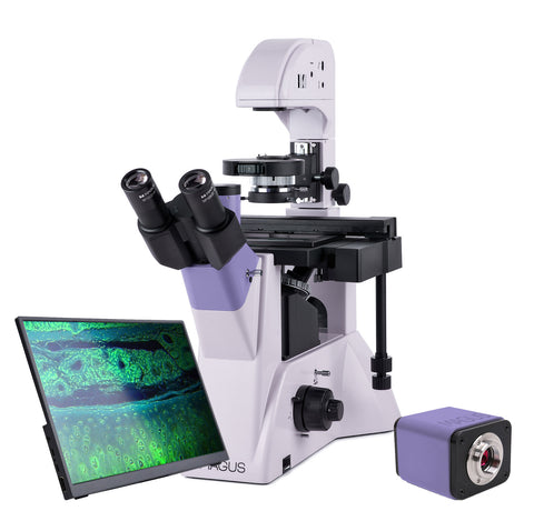 Microscopio digital biológico invertido MAGUS Bio VD350 LCD