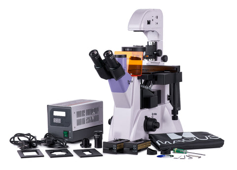 Using Inverted Digital Microscope MAGUS Lum VD500 Fluorescence Inverted Digital Microscope – Madeira Optics