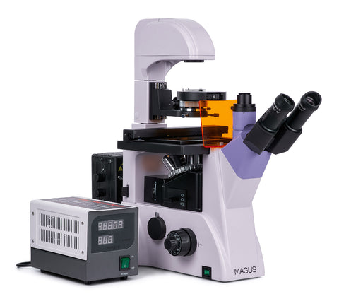 Using Inverted Digital Microscope MAGUS Lum VD500 Fluorescence Inverted Digital Microscope – Madeira Optics