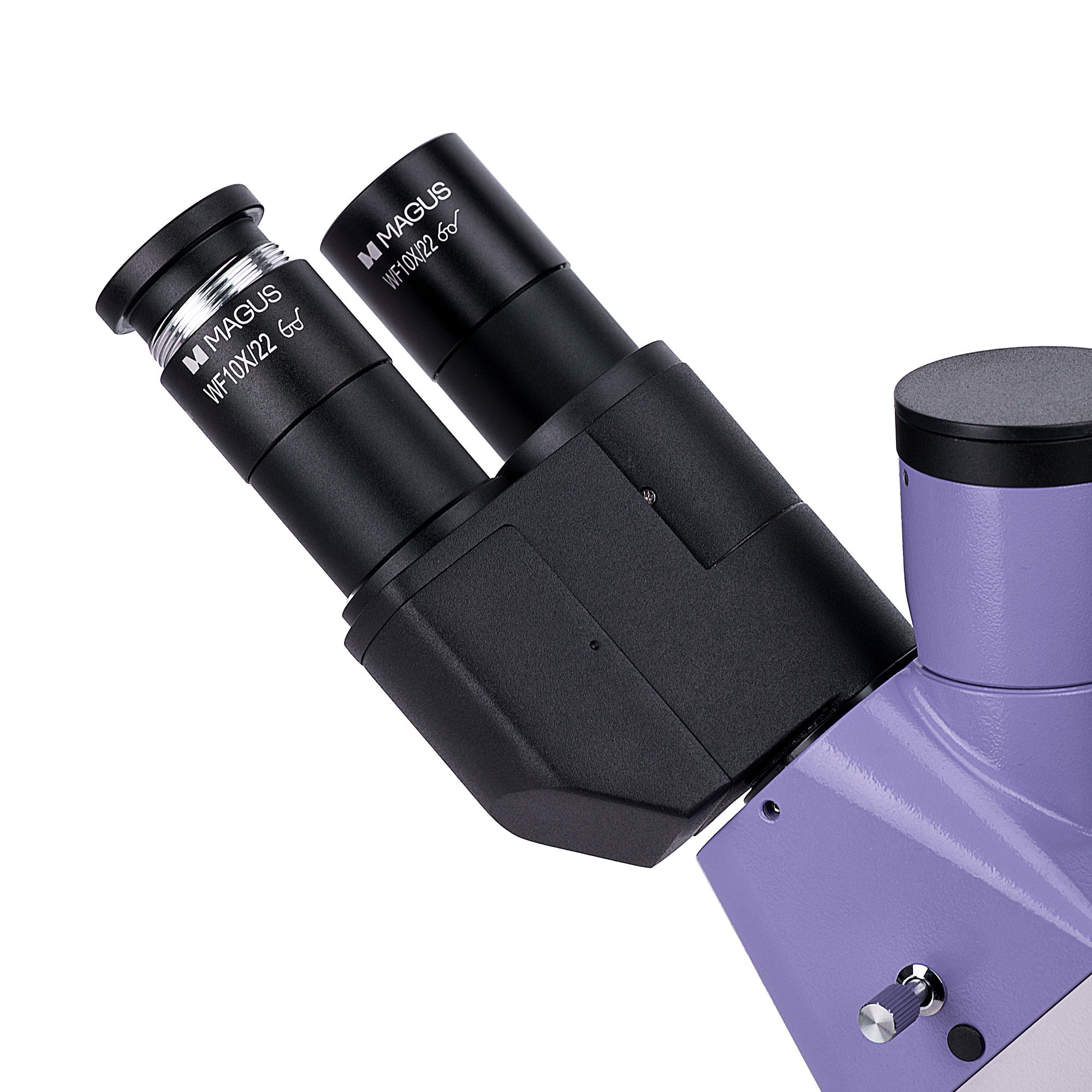 Using Inverted Digital Microscope MAGUS Lum VD500 LCD Fluorescence Inverted Digital Microscope – Madeira ...