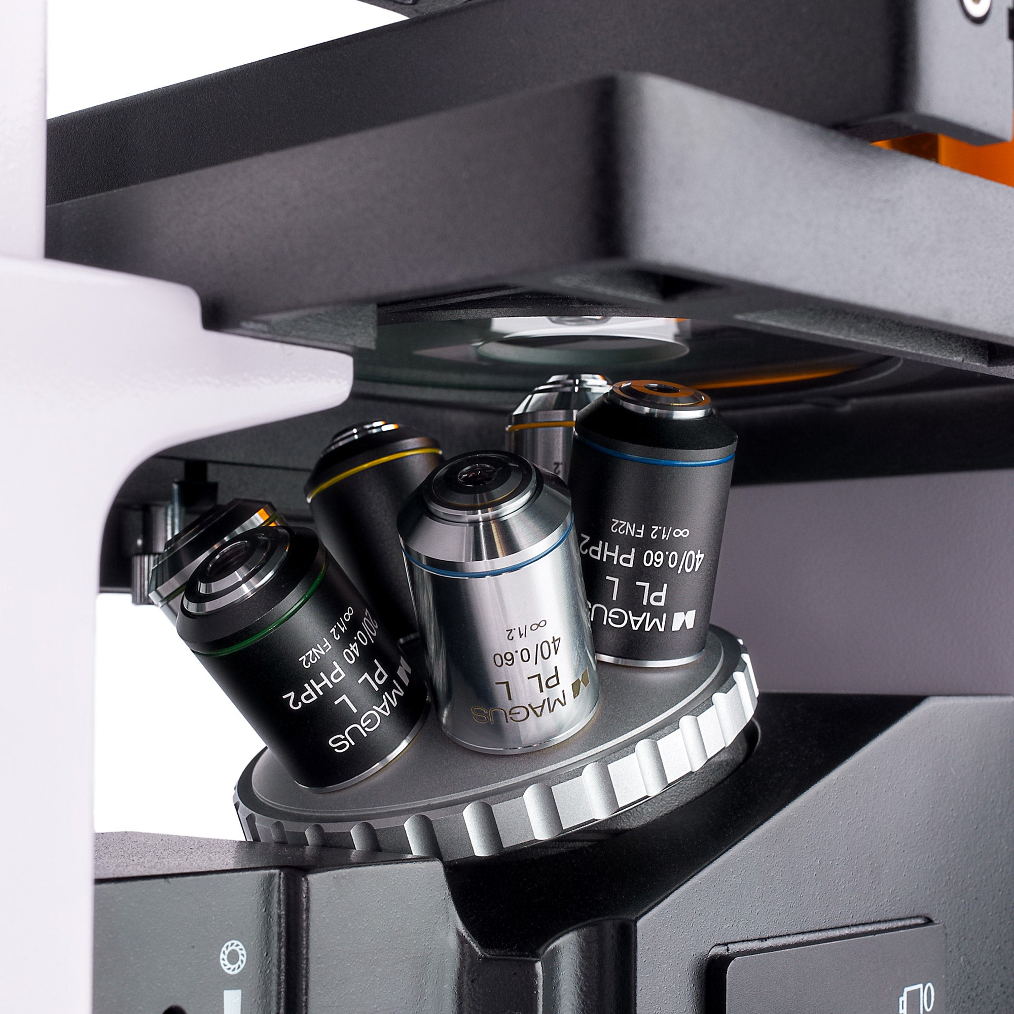 Using Inverted Digital Microscope MAGUS Lum VD500 LCD Fluorescence Inverted Digital Microscope – Madeira ...