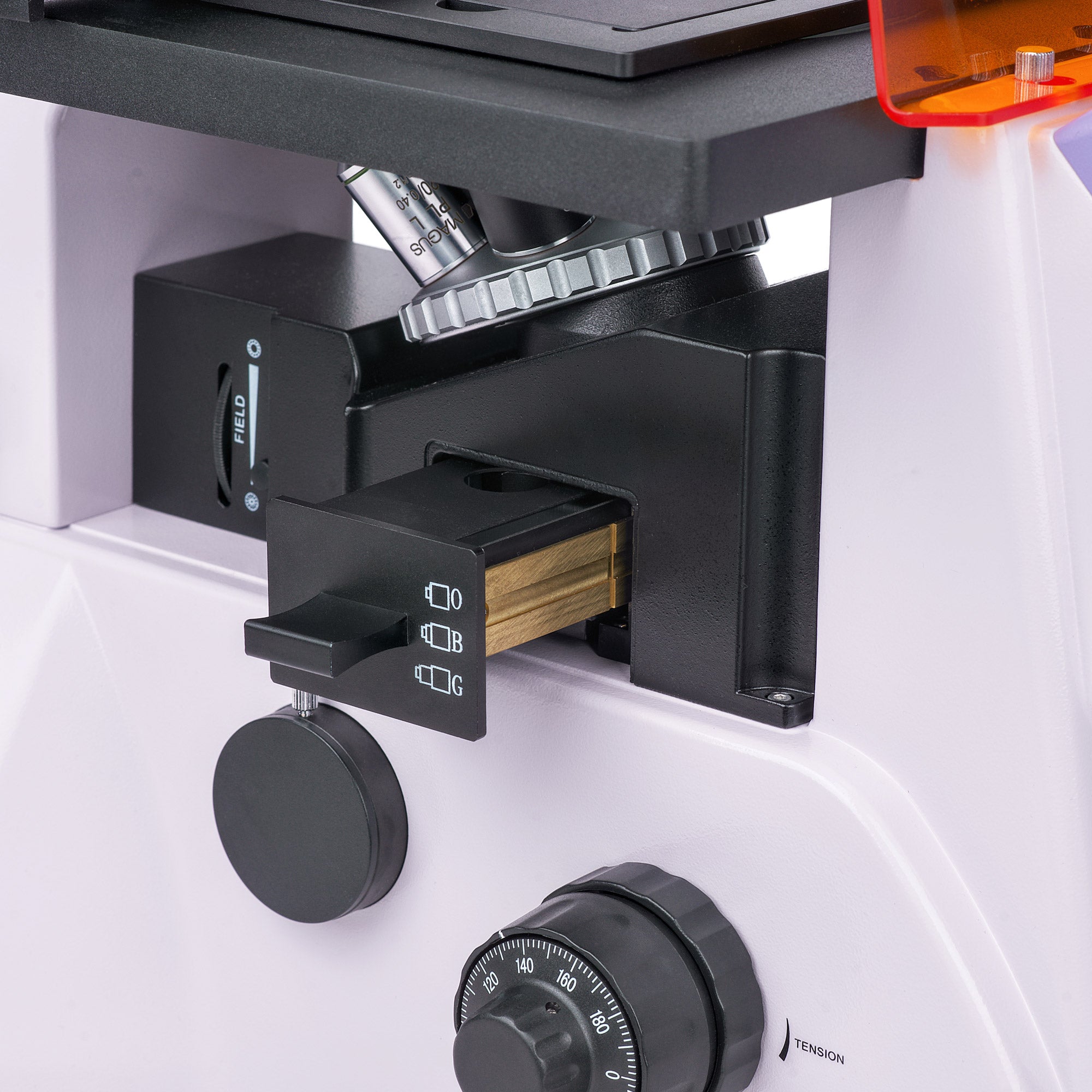 Using Inverted Digital Microscope MAGUS Lum VD500 LCD Fluorescence Inverted Digital Microscope – Madeira ...