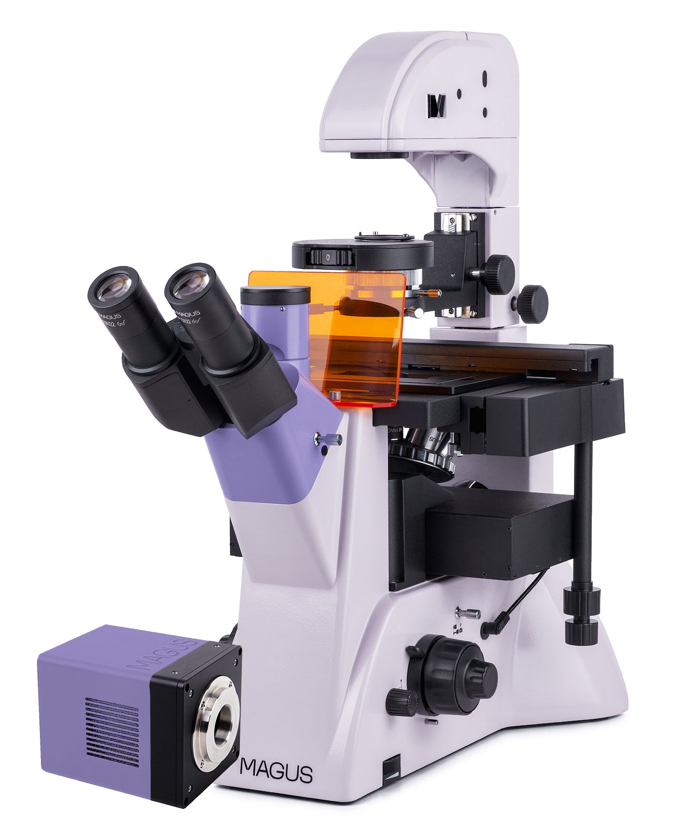 Using Inverted Digital Microscope MAGUS Lum VD500L Fluorescence Inverted Digital Microscope – Madeira Optics