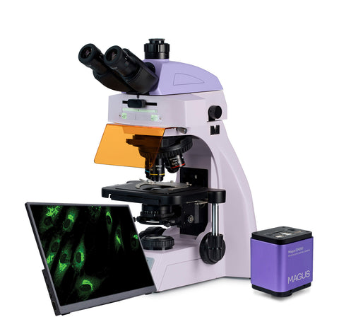 MAGUS Lum D450L LCD Fluorescence Digital Microscope