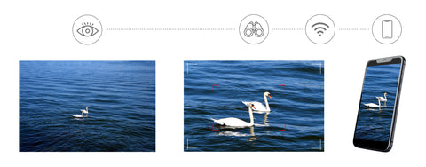 Levenhuk Kelvin Snap ED 8x42 Digital Photobinoculars