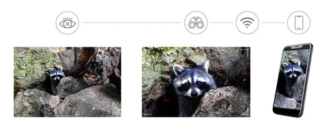 Levenhuk Kelvin Snap ED 8x42 Digital Photobinoculars