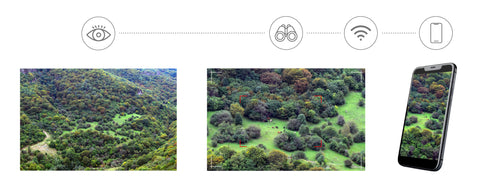 Levenhuk Kelvin Snap ED 8x42 Digital Photobinoculars