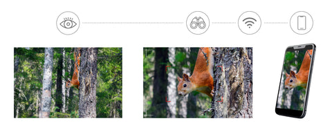 Levenhuk Kelvin Snap ED 8x42 Digital Photobinoculars