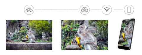 Levenhuk Kelvin Snap ED 8x42 Digital Photobinoculars