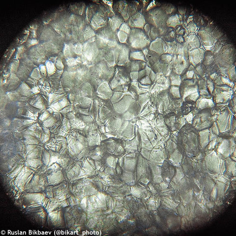 Moonstone Microscope Levenhuk Rainbow D50L PLUS 2M Digital Microscope Moonstone – Madeira Optics