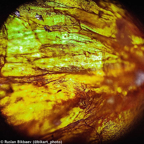 Moonstone Microscope Levenhuk Rainbow D50L PLUS 2M Digital Microscope Moonstone – Madeira Optics