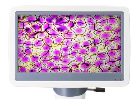 Microscópio digital Levenhuk D85L LCD