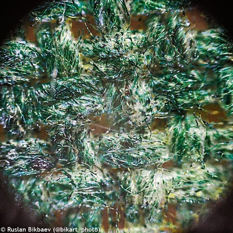 Moonstone Microscope Levenhuk Rainbow D50L PLUS 2M Digital Microscope Moonstone – Madeira Optics