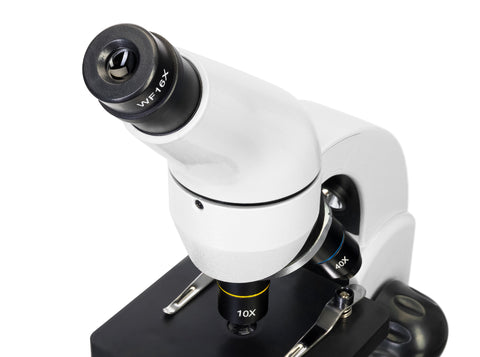 Levenhuk Rainbow D50L PLUS 2M Digital Microscope Moonstone