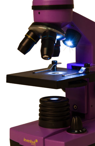 Microscópio Levenhuk 2L NG Ametista