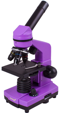 Microscópio Levenhuk 2L NG Ametista